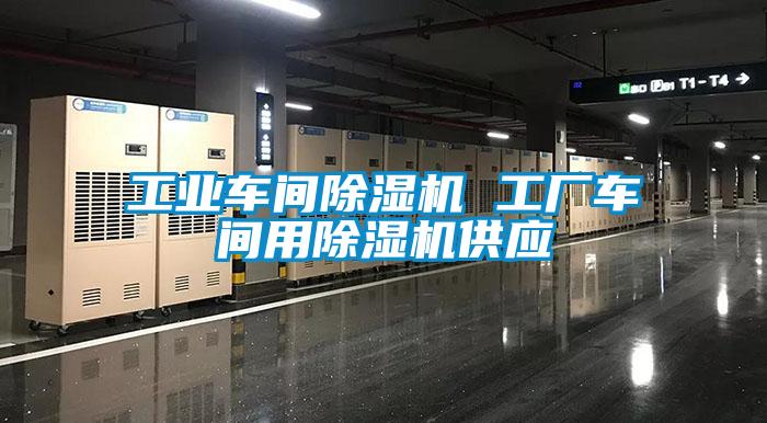 工業(yè)車間除濕機 工廠車間用除濕機供應