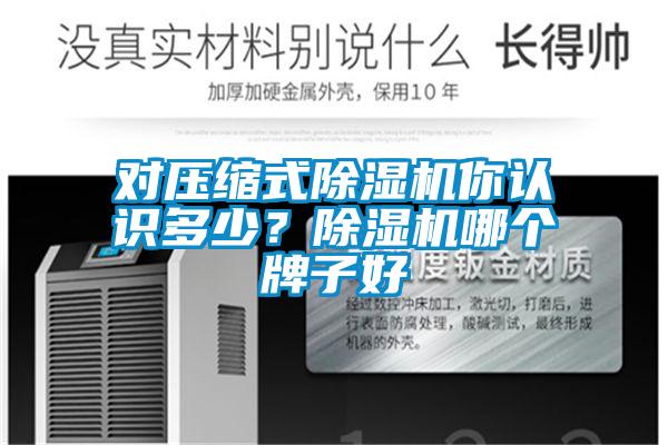 對壓縮式除濕機你認識多少？除濕機哪個牌子好