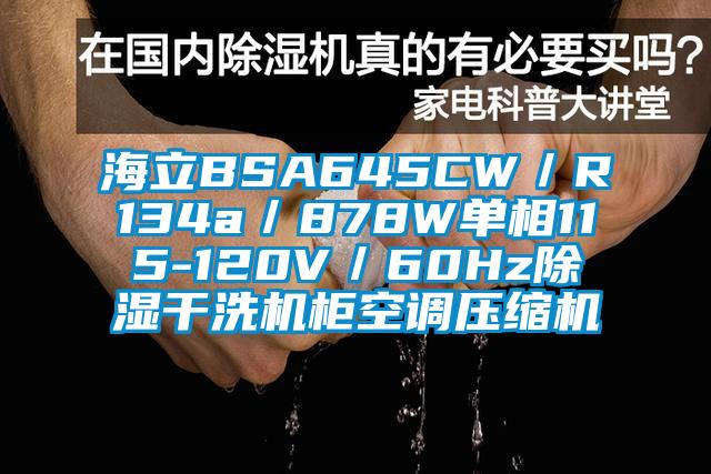 海立BSA645CW／R134a／878W單相115-120V／60Hz除濕干洗機(jī)柜空調(diào)壓縮機(jī)