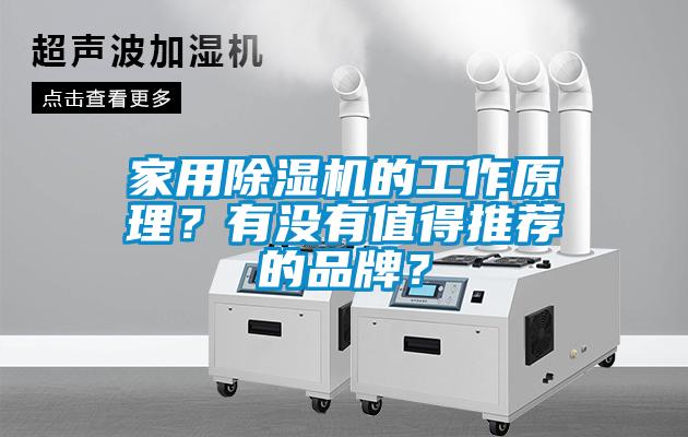 家用除濕機的工作原理？有沒有值得推薦的品牌？