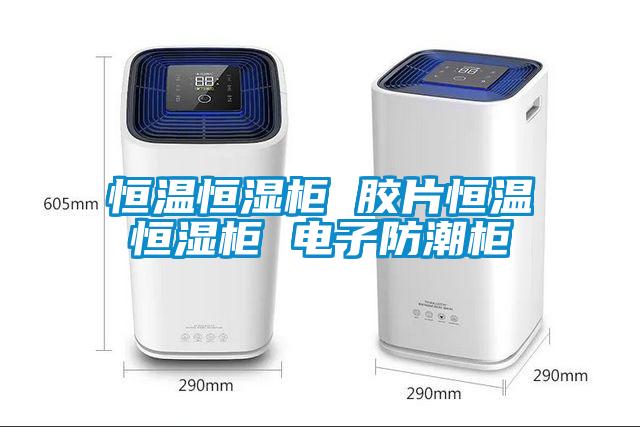 恒溫恒濕柜 膠片恒溫恒濕柜 電子防潮柜