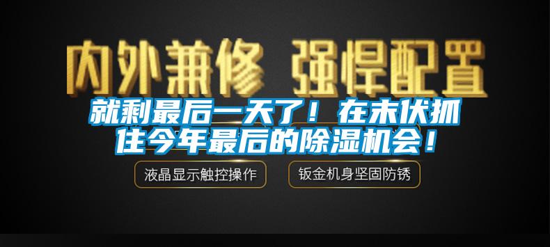 就剩最后一天了！在末伏抓住今年最后的除濕機會！