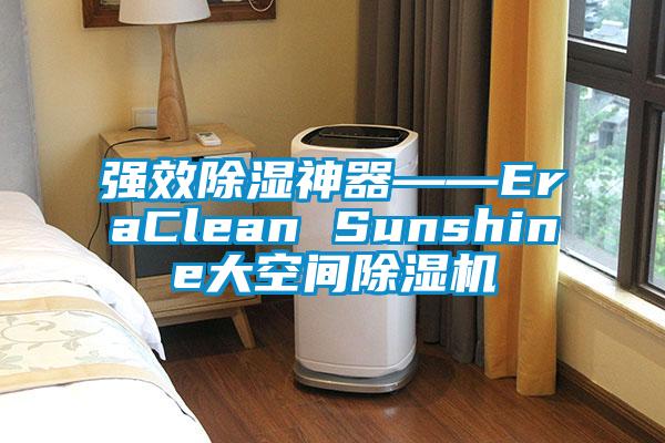 強(qiáng)效除濕神器――EraClean Sunshine大空間除濕機(jī)