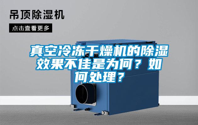 真空冷凍干燥機的除濕效果不佳是為何？如何處理？