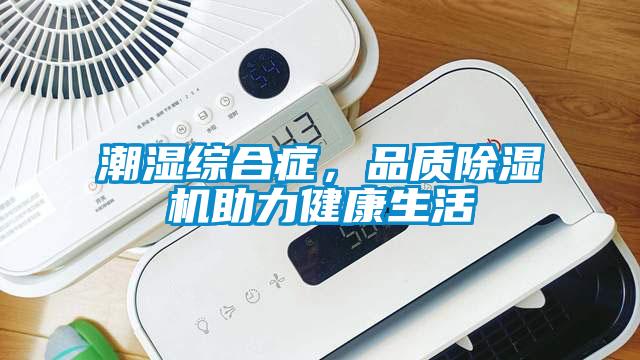 潮濕綜合癥，品質(zhì)除濕機助力健康生活