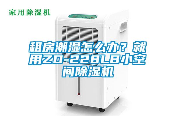 租房潮濕怎么辦？就用ZD-228LB小空間除濕機(jī)