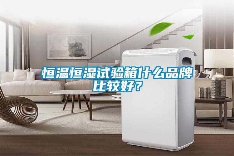 恒溫恒濕試驗(yàn)箱什么品牌比較好？