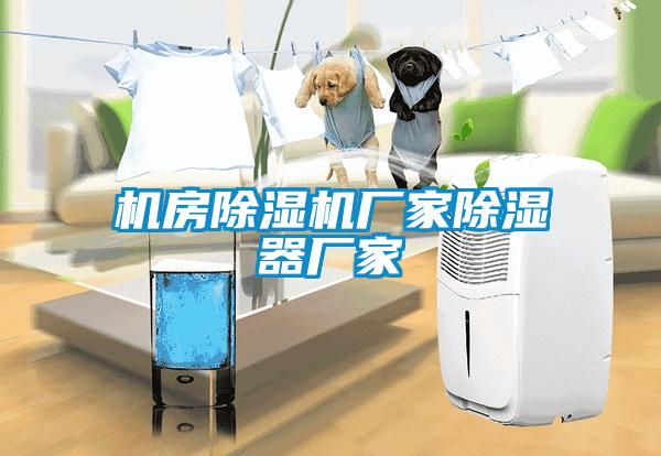 機(jī)房除濕機(jī)廠家除濕器廠家