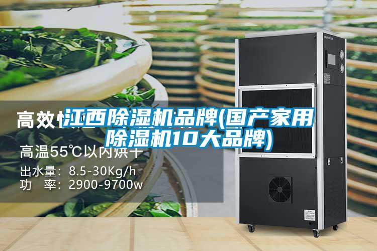 江西除濕機(jī)品牌(國產(chǎn)家用除濕機(jī)10大品牌)