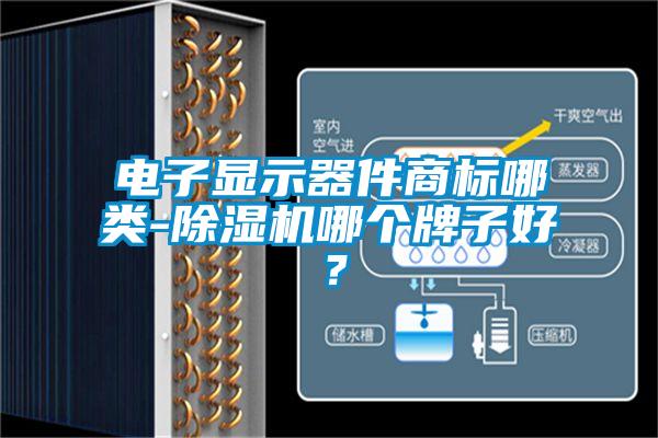 電子顯示器件商標(biāo)哪類-除濕機(jī)哪個牌子好？