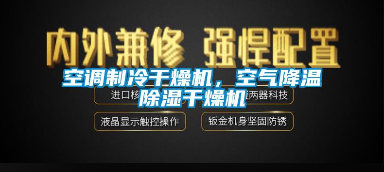 空調(diào)制冷干燥機，空氣降溫除濕干燥機