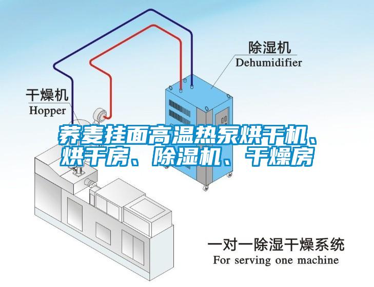 蕎麥掛面高溫?zé)岜煤娓蓹C(jī)、烘干房、除濕機(jī)、干燥房