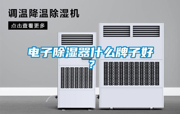 電子除濕器什么牌子好？