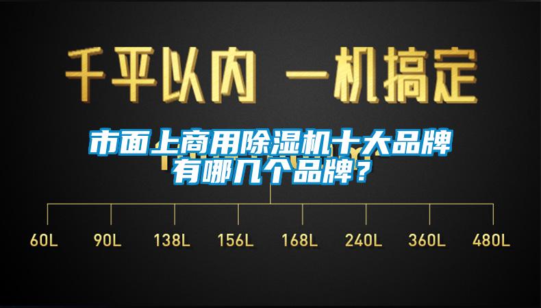 市面上商用除濕機(jī)十大品牌有哪幾個(gè)品牌？