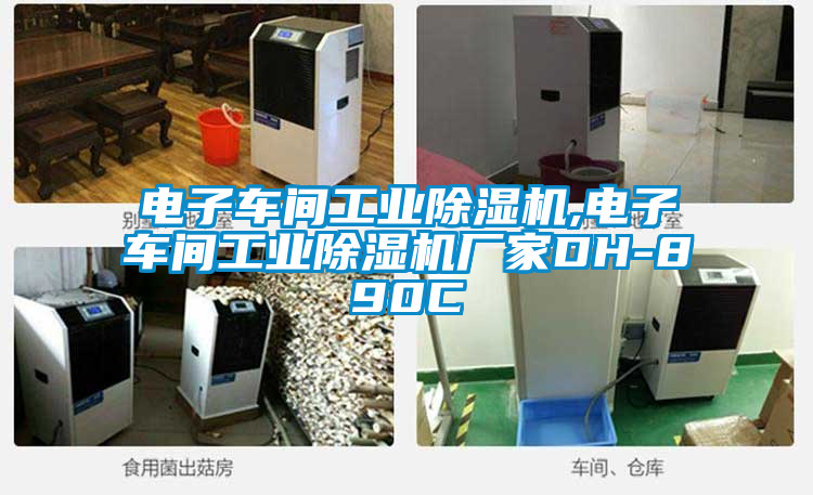 電子車間工業(yè)除濕機,電子車間工業(yè)除濕機廠家DH-890C