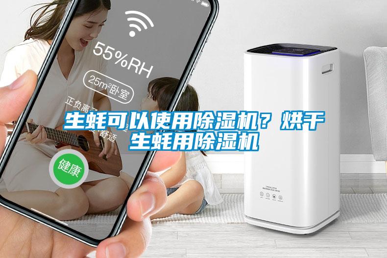 生蠔可以使用除濕機(jī)？烘干生蠔用除濕機(jī)