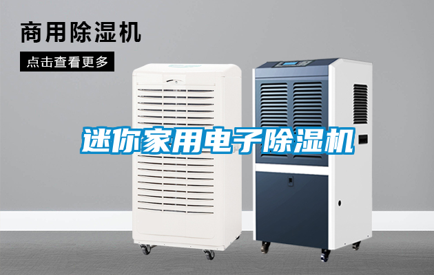 迷你家用電子除濕機(jī)