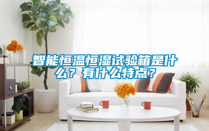 智能恒溫恒濕試驗(yàn)箱是什么？有什么特點(diǎn)？