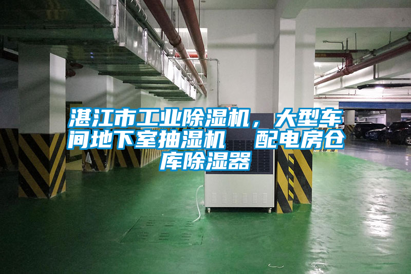 湛江市工業(yè)除濕機，大型車間地下室抽濕機  配電房倉庫除濕器