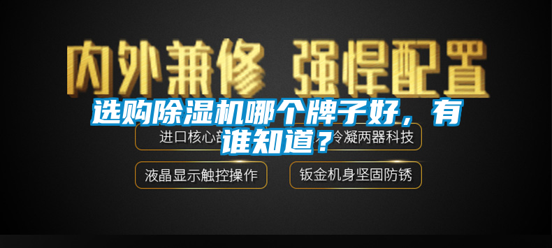 選購除濕機(jī)哪個牌子好，有誰知道？