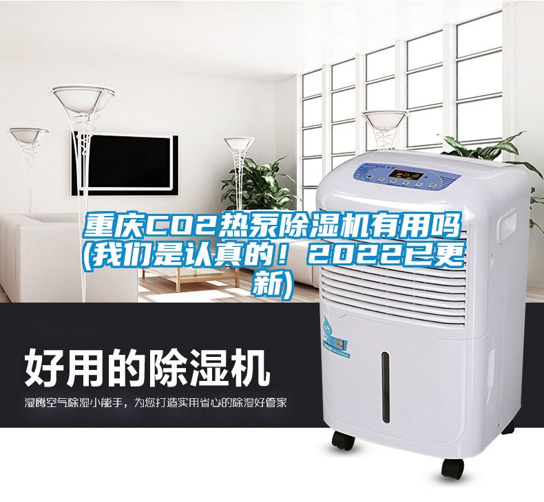 重慶CO2熱泵除濕機有用嗎(我們是認真的！2022已更新)