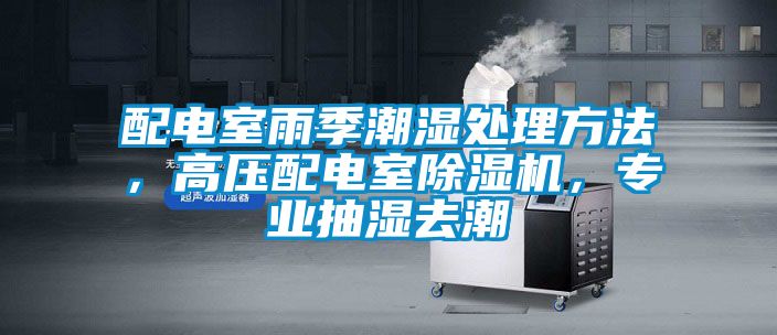 配電室雨季潮濕處理方法，高壓配電室除濕機(jī)，專業(yè)抽濕去潮