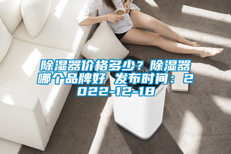 除濕器價格多少？除濕器哪個品牌好 發(fā)布時間：2022-12-18