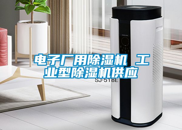 電子廠用除濕機 工業(yè)型除濕機供應(yīng)