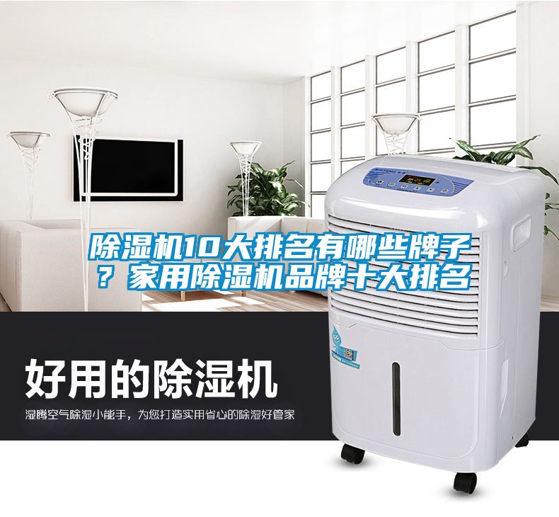 除濕機10大排名有哪些牌子？家用除濕機品牌十大排名