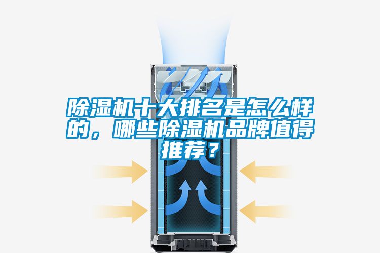 除濕機十大排名是怎么樣的，哪些除濕機品牌值得推薦？