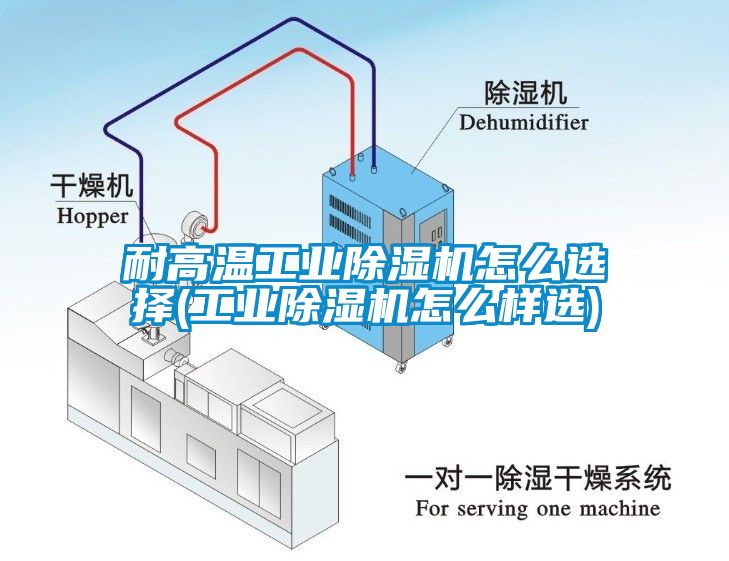 耐高溫工業(yè)除濕機怎么選擇(工業(yè)除濕機怎么樣選)