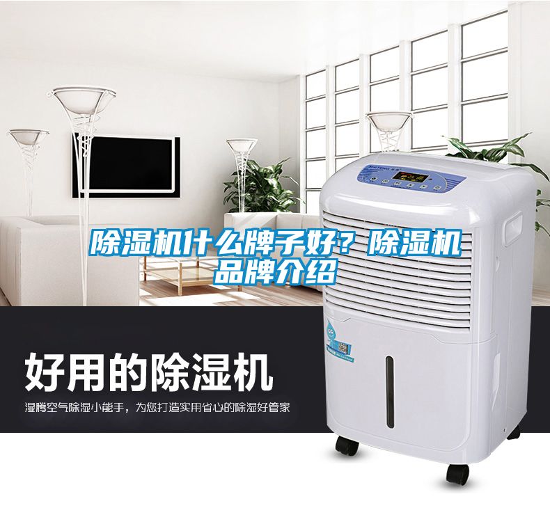 除濕機(jī)什么牌子好？除濕機(jī)品牌介紹