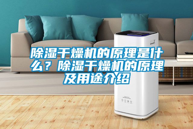 除濕干燥機的原理是什么？除濕干燥機的原理及用途介紹