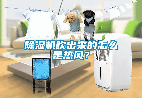 除濕機吹出來的怎么是熱風(fēng)？