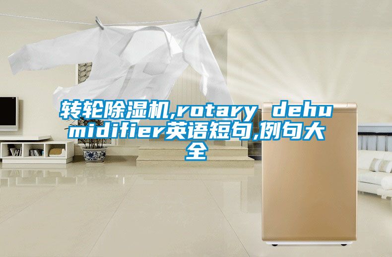 轉(zhuǎn)輪除濕機(jī),rotary dehumidifier英語短句,例句大全