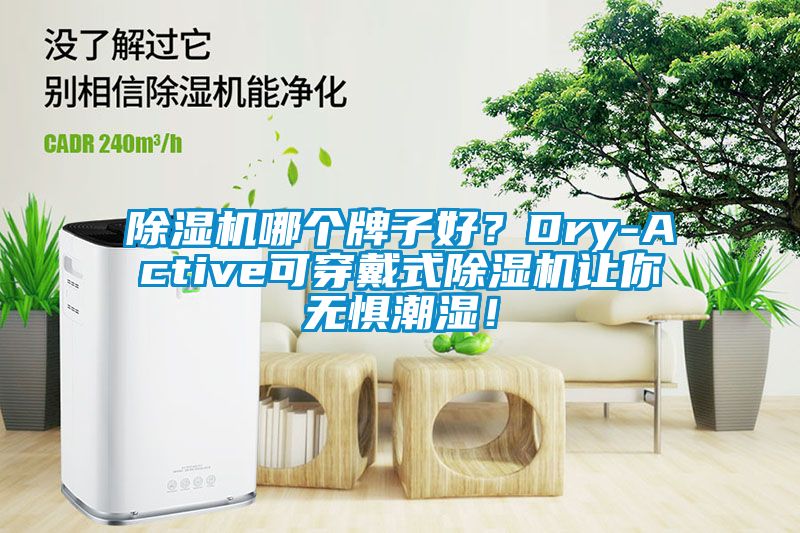 除濕機哪個牌子好？Dry-Active可穿戴式除濕機讓你無懼潮濕！