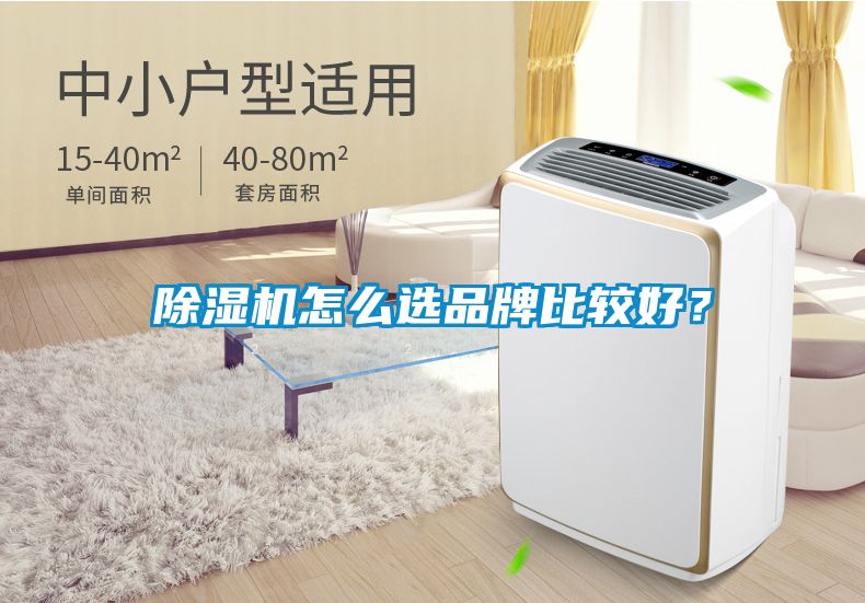 除濕機(jī)怎么選品牌比較好？