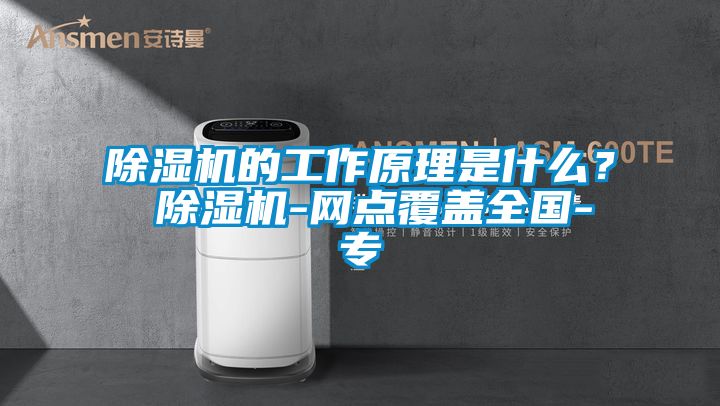 除濕機(jī)的工作原理是什么？ 除濕機(jī)-網(wǎng)點(diǎn)覆蓋全國(guó)-專