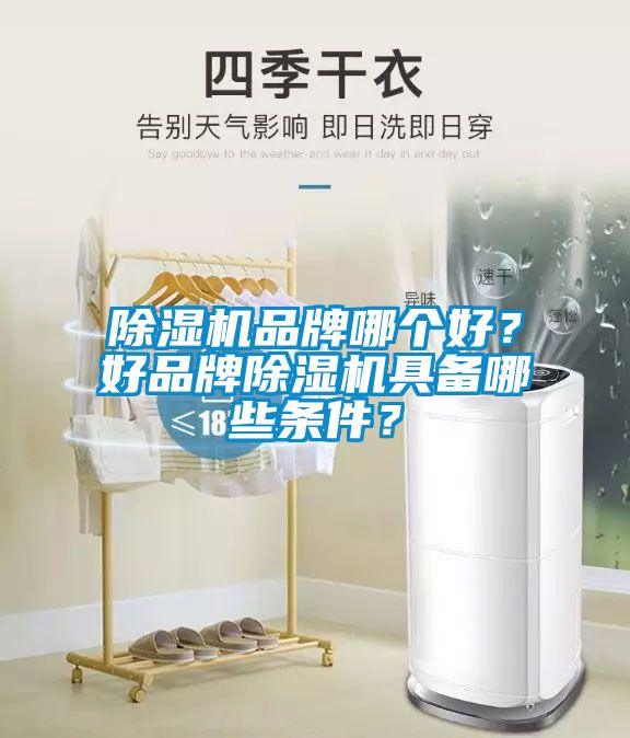 除濕機(jī)品牌哪個(gè)好？好品牌除濕機(jī)具備哪些條件？