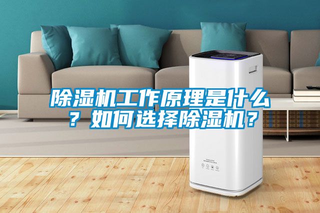 除濕機工作原理是什么？如何選擇除濕機？