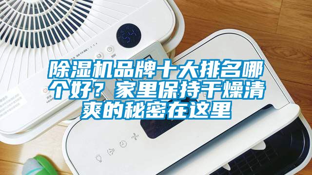 除濕機品牌十大排名哪個好？家里保持干燥清爽的秘密在這里