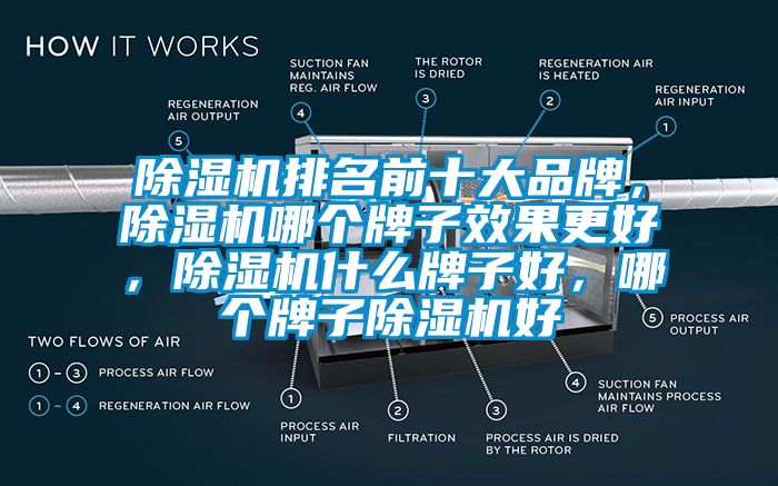 除濕機(jī)排名前十大品牌，除濕機(jī)哪個(gè)牌子效果更好，除濕機(jī)什么牌子好，哪個(gè)牌子除濕機(jī)好