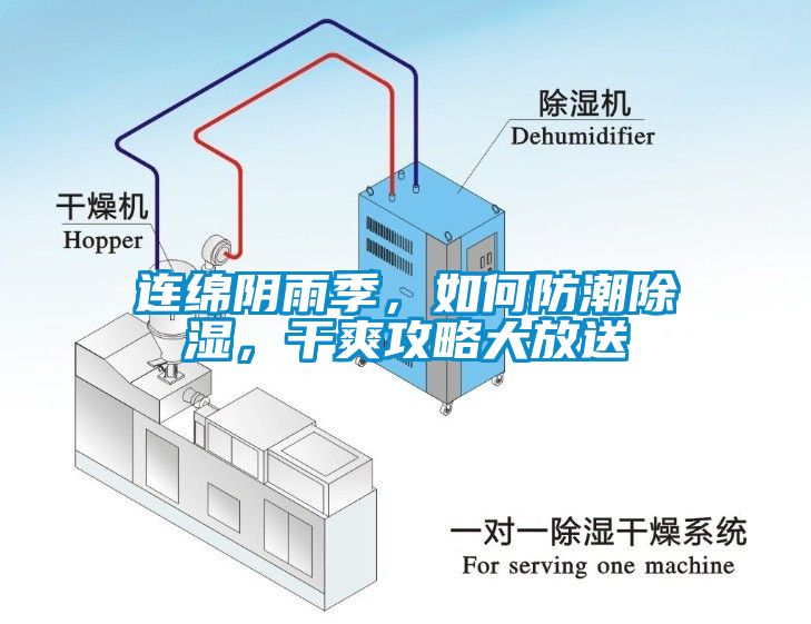 連綿陰雨季，如何防潮除濕，干爽攻略大放送