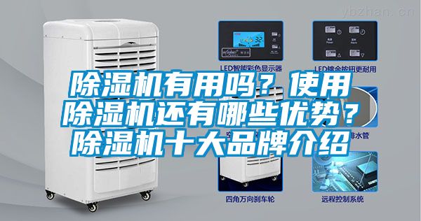 除濕機(jī)有用嗎？使用除濕機(jī)還有哪些優(yōu)勢？除濕機(jī)十大品牌介紹