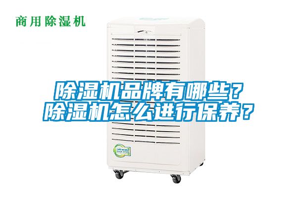 除濕機(jī)品牌有哪些？除濕機(jī)怎么進(jìn)行保養(yǎng)？