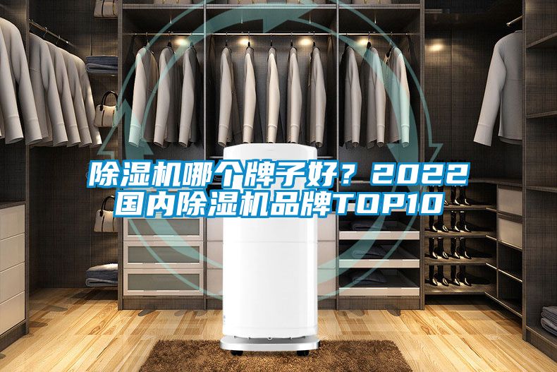 除濕機(jī)哪個(gè)牌子好？2022國內(nèi)除濕機(jī)品牌TOP10