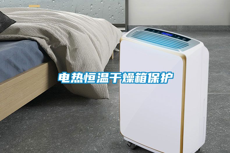 電熱恒溫干燥箱保護