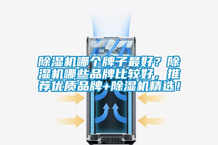 除濕機哪個牌子最好？除濕機哪些品牌比較好，推薦優(yōu)質(zhì)品牌+除濕機精選！