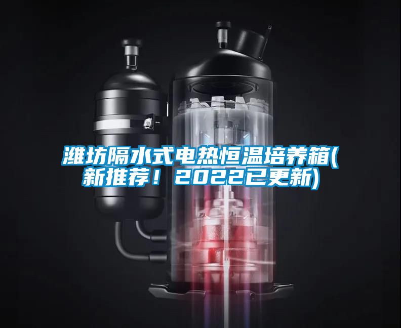 濰坊隔水式電熱恒溫培養(yǎng)箱(新推薦！2022已更新)