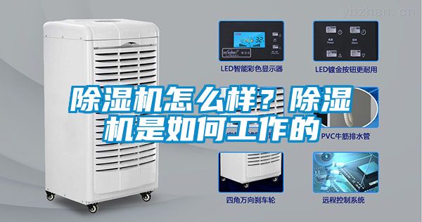 除濕機(jī)怎么樣？除濕機(jī)是如何工作的